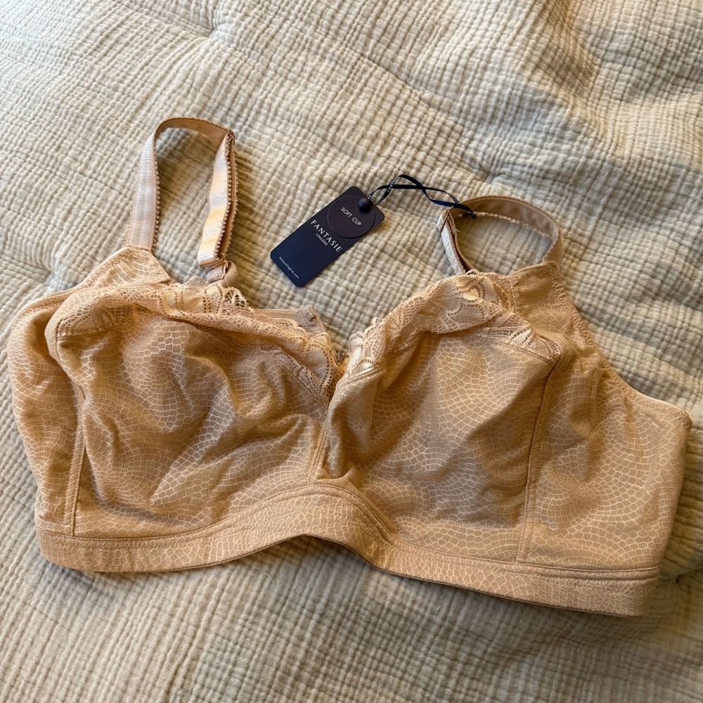 Fantasie Beige Lace Bra